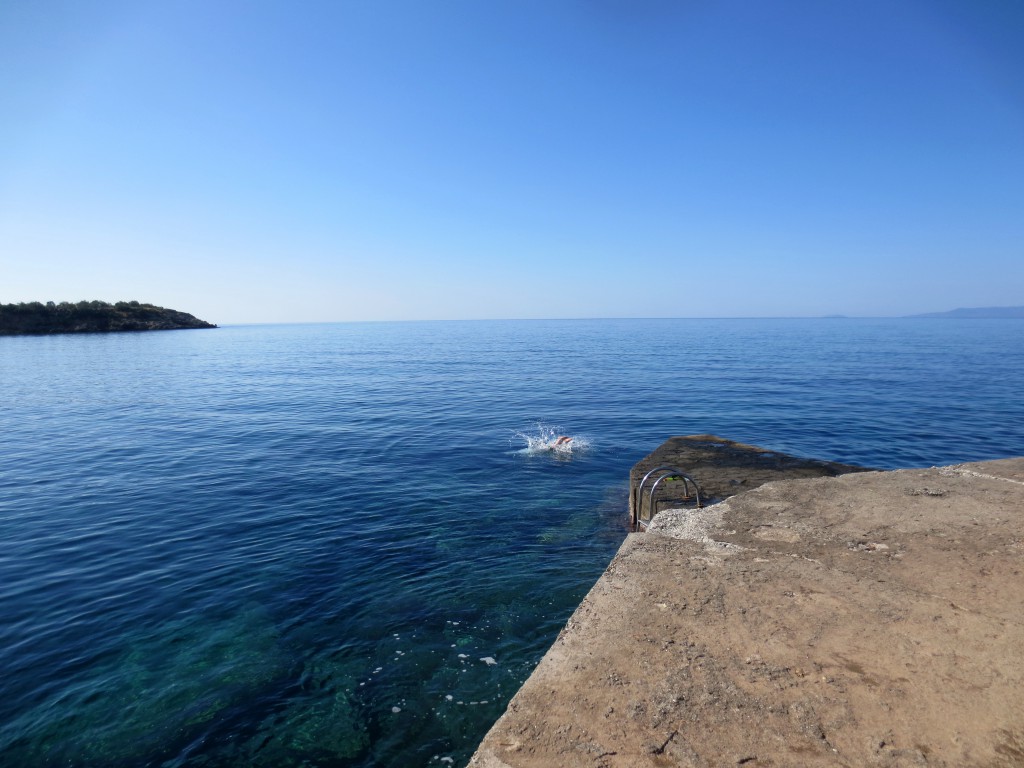 A dive into the Mediterranean